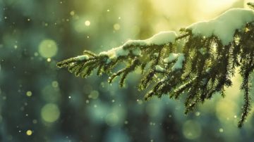 O Solstício de Inverno e o Natal